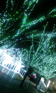 ��y���L���C