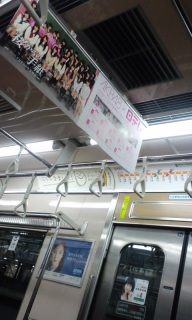 ������̎莆