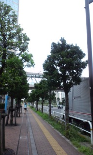 �����(�K�ށK)