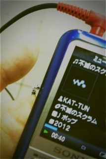 �X�N����