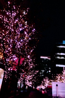 (untitled)