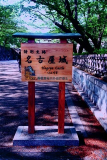 ���ΎU����Myojo���P�n