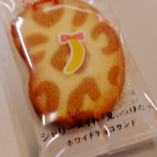 �����o�i�i