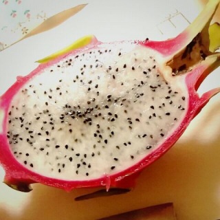 �h���S���t���[�c